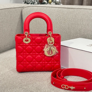 71 dior شنطة