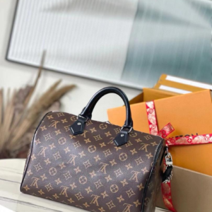 Louis Vuitton شنطة