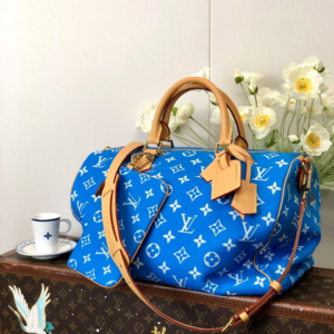 louis vuitton شنطة نسائية